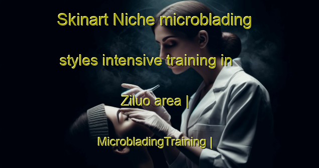 Skinart Niche microblading styles intensive training in Ziluo area | MicrobladingTraining | MicrobladingClasses | SkinartTraining-China
